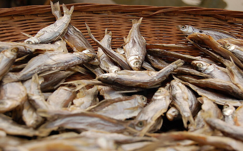 魚(yú)干