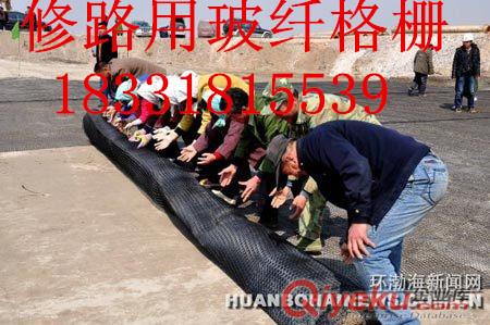 供應安平森旺黑色30kn玻纖土工格柵