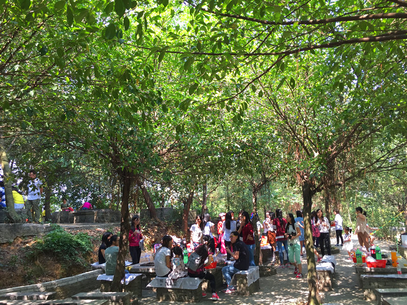 广佛两地客人纷纷来景观烧烤场