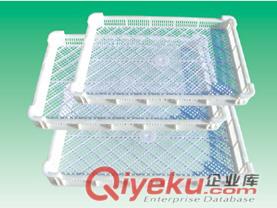 吉林塑料單凍器，大棗塑料烘干盤，海產品塑料冷凍盤原始圖片3