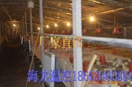 遼寧育雛保暖鍋爐|價格|廠家|供應商-海龍溫控