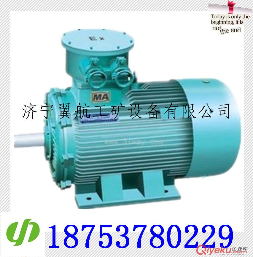 煤礦井下用隔爆型三相異步電動(dòng)機(jī) 