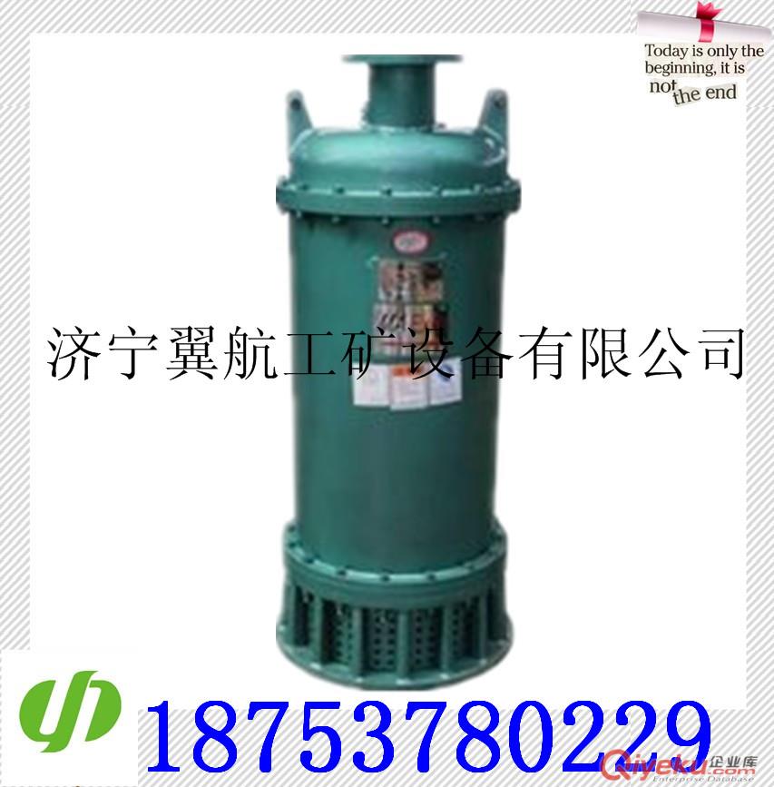 BQS(BQW)190-40-45KW隔爆潛水泵  原始圖片2