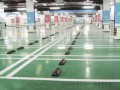 沈陽運動地膠哪家好