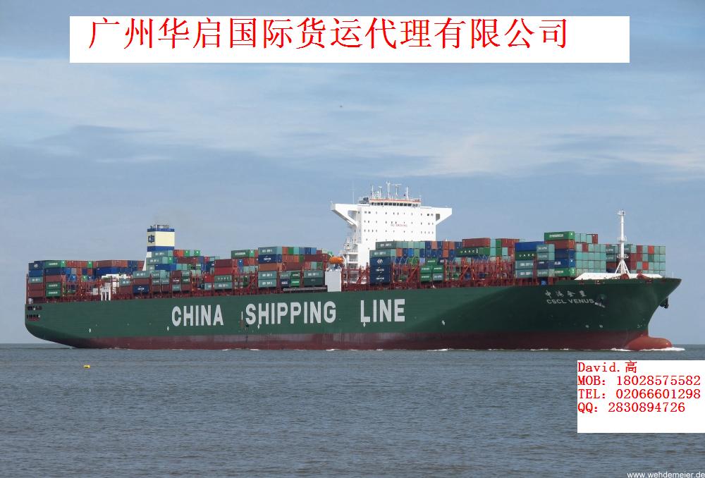 深圳鹽田CSCL到PORT SAID WEST費(fèi)用