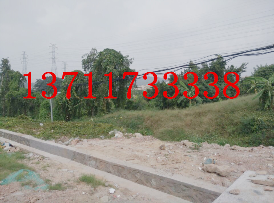形象{yl}，可工可商，石樓17000方多方廠房出租