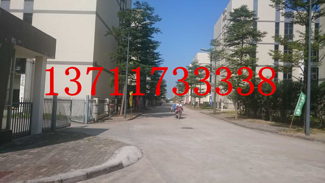 獨(dú)立圍院、園區(qū)管理---南沙2萬(wàn)方標(biāo)準(zhǔn)廠房出租原始圖片2