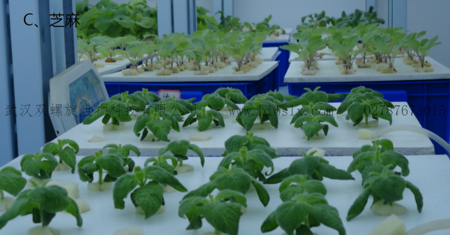 智能人工氣候室、植物組培室、頂置光人工氣候室
