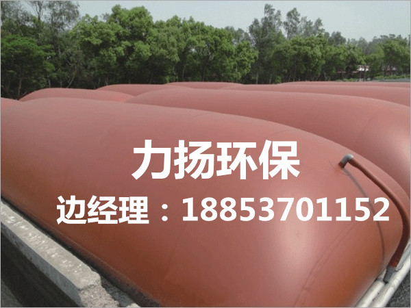 供應福建{gx}沼氣袋