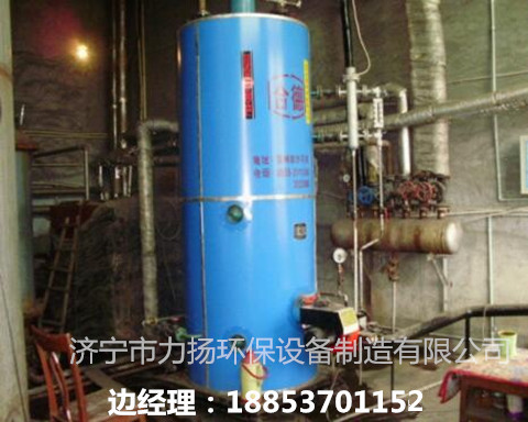 供應福建{gx}沼氣鍋爐