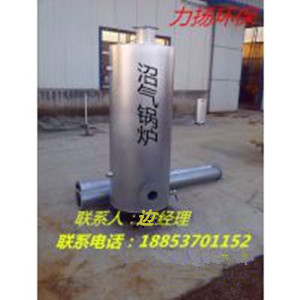 供應福建{gx}沼氣鍋爐