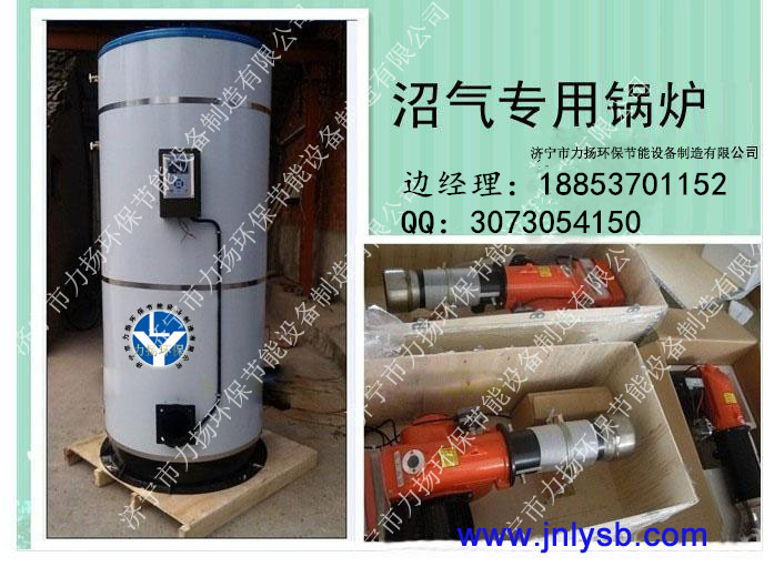 供應福建{gx}沼氣鍋爐