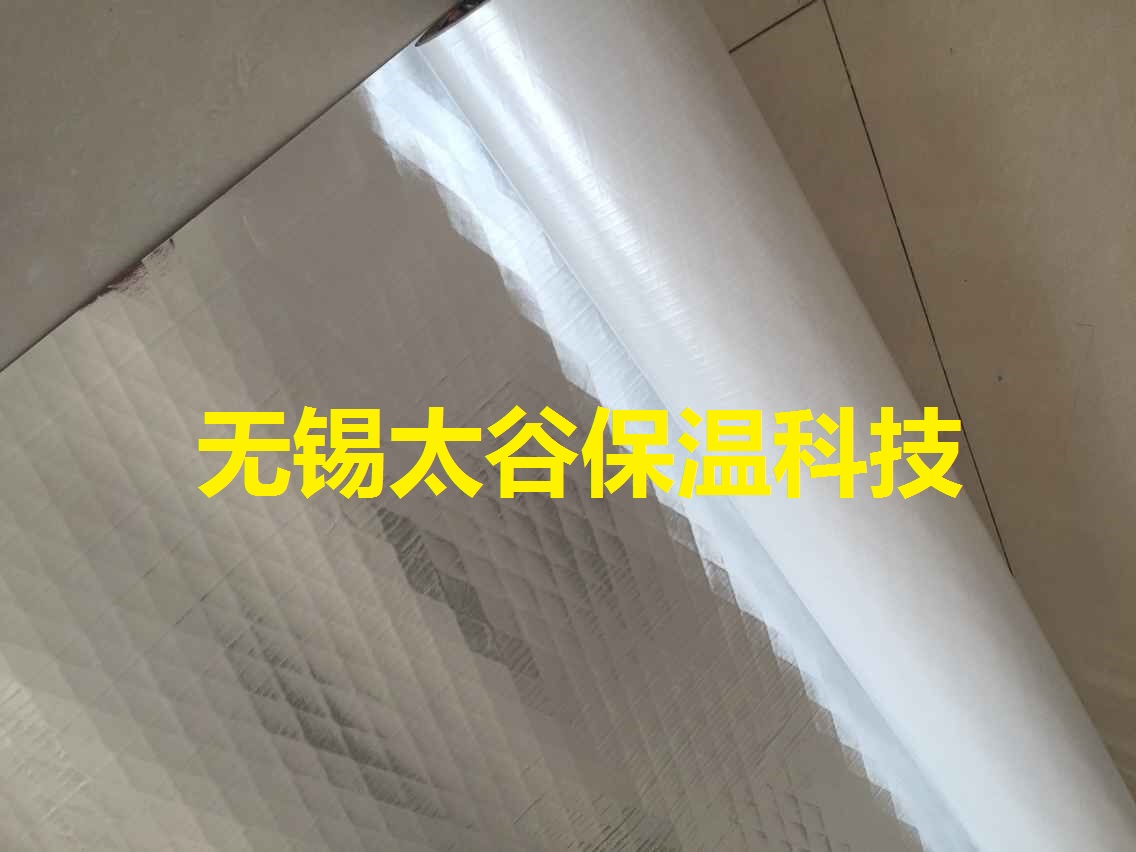 廠家銷售 鋼結構貼面 白膜夾筋材料聚丙烯隔熱產品原始圖片3