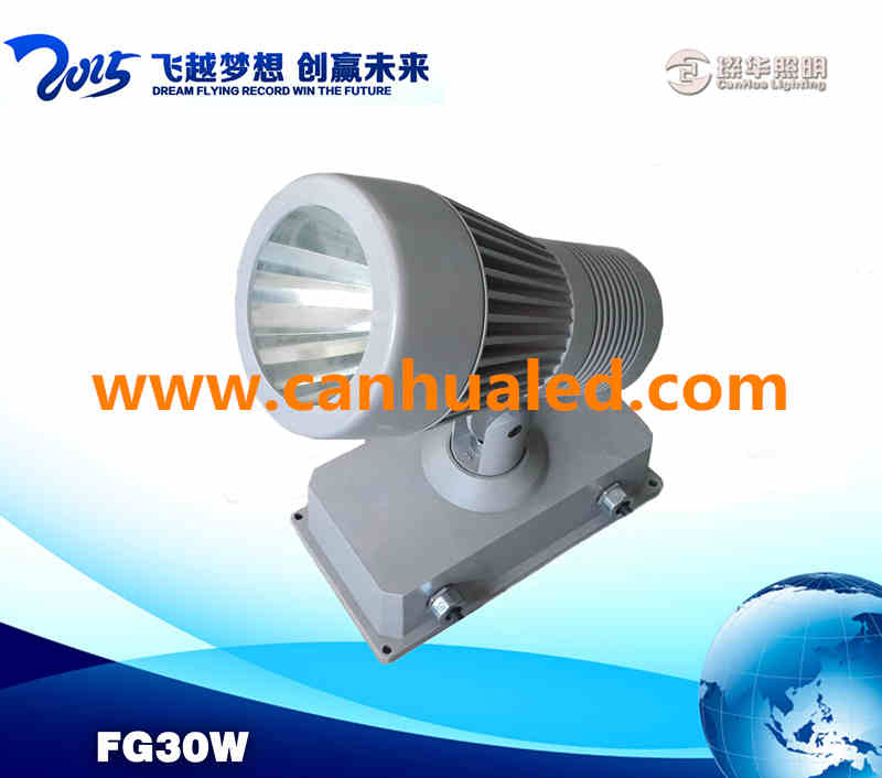 30W戶外景觀照明投光燈，亮化建設投光燈，COB投光燈