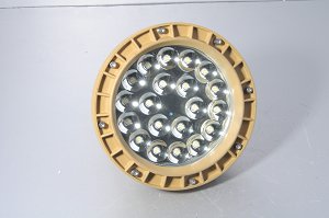 圓形10W20W30W40WLED防爆燈 廠用礦用 價格原始圖片3