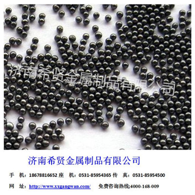 供應(yīng)S110鋼丸