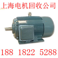 浦東區(qū)廢舊電機(jī)回收價(jià)格，上海浦東區(qū)發(fā)電機(jī)回收選擇合適公司