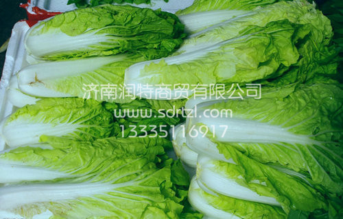冷庫(kù)-恒溫庫(kù)-蔬菜庫(kù)原始圖片2