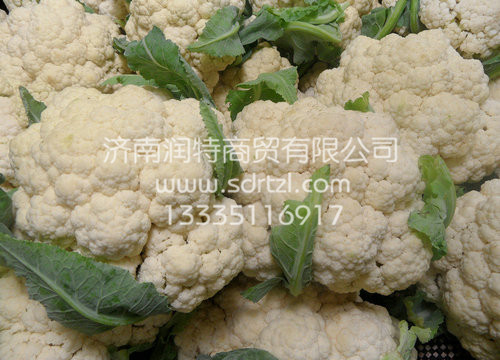 冷庫(kù)-恒溫庫(kù)-蔬菜庫(kù)原始圖片3