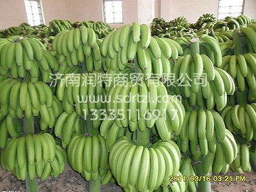 濟(jì)南潤(rùn)特制冷-冰棒冷庫(kù)/凍魚(yú)冷庫(kù)