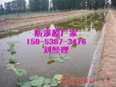 供應(yīng)洛陽車庫頂板排水板/20高排水板價格