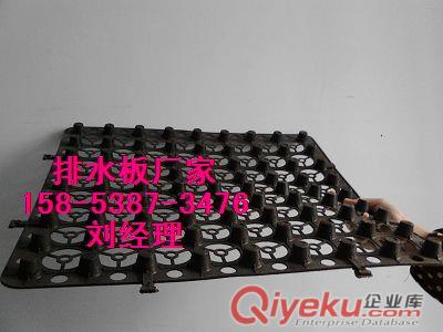 供應(yīng)洛陽車庫頂板排水板/20高排水板價格原始圖片3