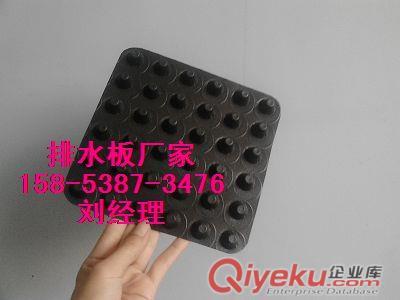 供應(yīng)武漢屋頂種植蓄水板|塑料透水板【現(xiàn)貨】原始圖片3