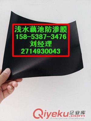 供應寶雞{藕池防滲膜}耐根穿刺防滲膜
