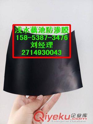 供應寶雞{藕池防滲膜}耐根穿刺防滲膜