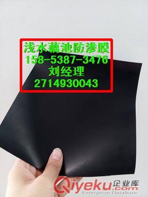 供應寶雞{藕池防滲膜}耐根穿刺防滲膜