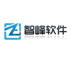 企業網站建設方案怎么寫/臨沂智峰軟件開發