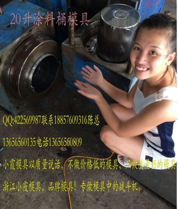 浙江注塑桶模具制造 臺州化工桶塑料模具生產(chǎn)，黃巖20公斤密封桶模具公司