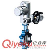 供應(yīng)艾瑞電動對夾式蝶閥，進(jìn)口電動不銹鋼蝶閥原始圖片3