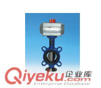 供應(yīng)艾瑞電動對夾式蝶閥，進(jìn)口電動不銹鋼蝶閥