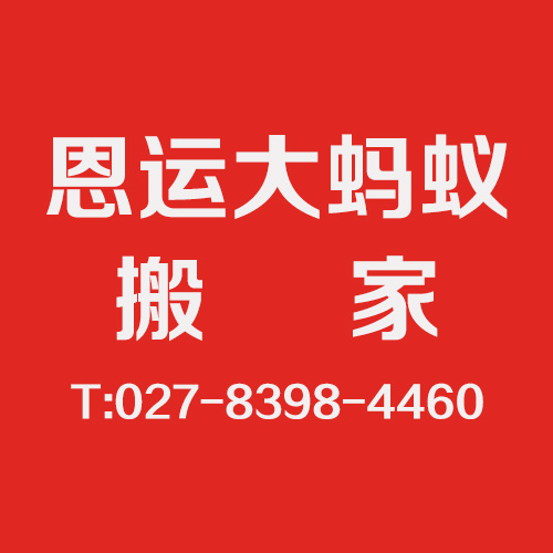 武漢便宜的貨車搬家公司/【恩運大螞蟻搬家】價格實惠