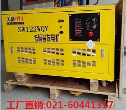 三十千瓦汽油發(fā)電機(jī)價(jià)格美國SHWIL品牌