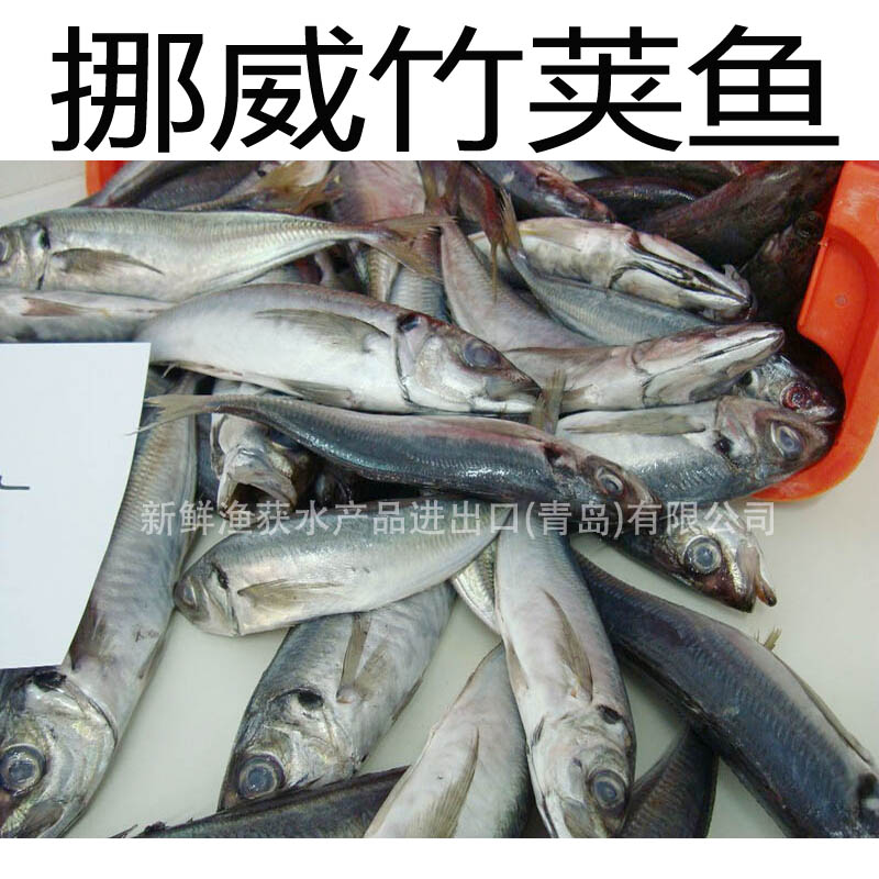 挪威竹莢魚(yú)，大西洋馬鯖魚(yú)