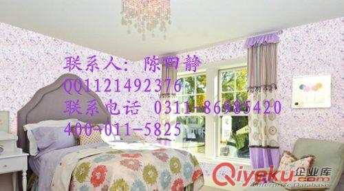 小錢能在河北開個3D顆粒漆店嗎