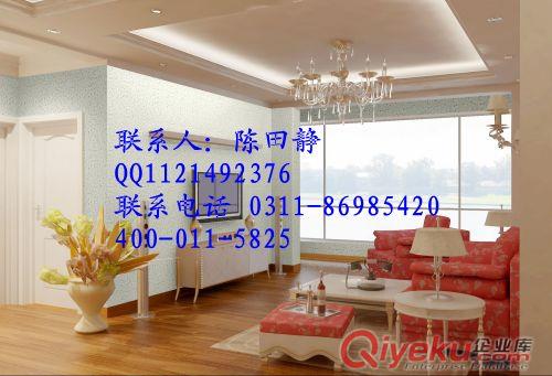小錢能在河北開個3D顆粒漆店嗎原始圖片2