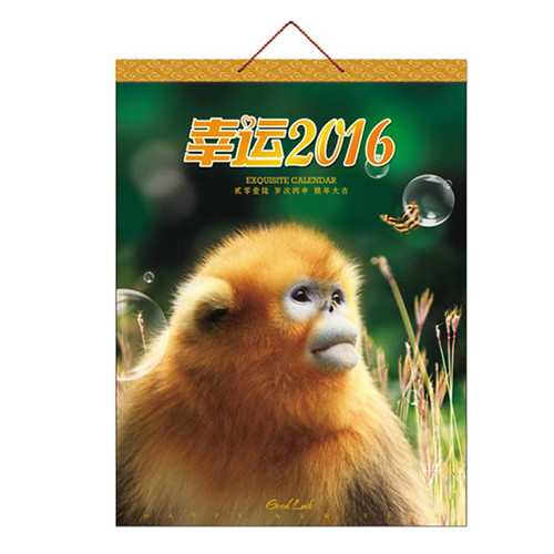 廣告禮品批發(fā)/步步高禮品