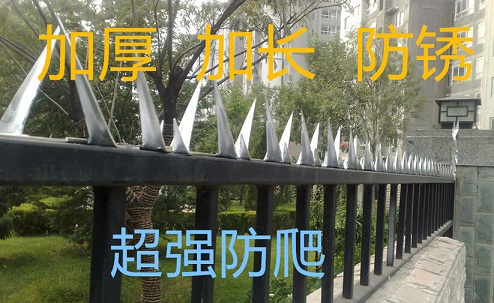 圍墻防爬刺 刺釘 墻刺廠家直銷原始圖片2