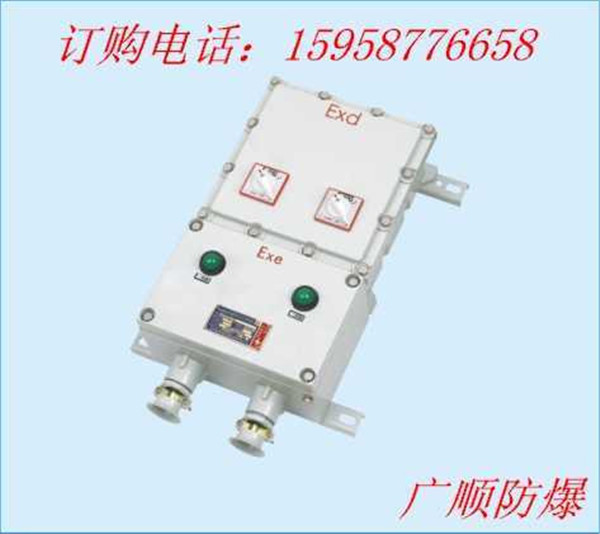 BJX8030系列防爆防腐接線箱tj