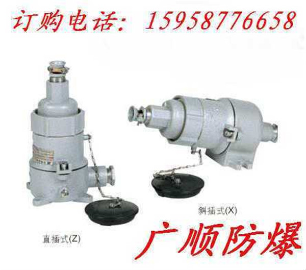 dZ53-J2x1.5系列防爆雙頭應(yīng)急燈各種規(guī)格