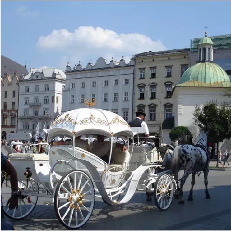 馬車出租，觀光馬車，歐式馬車，皇家馬車出租租賃原始圖片3