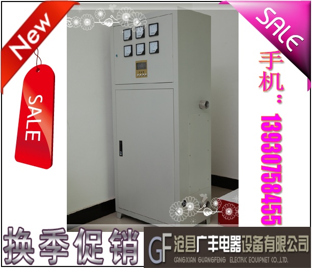 自控電采暖爐|滄州市廣豐電器設備