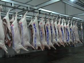 單縣肉牛養殖場-梁山魯鑫源牲畜交易市場
