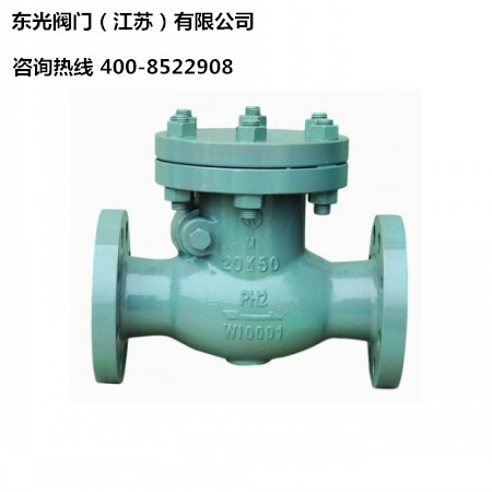 江蘇東光閥門 提供不銹鋼止回閥 襯氟止回閥廠家現貨原始圖片2