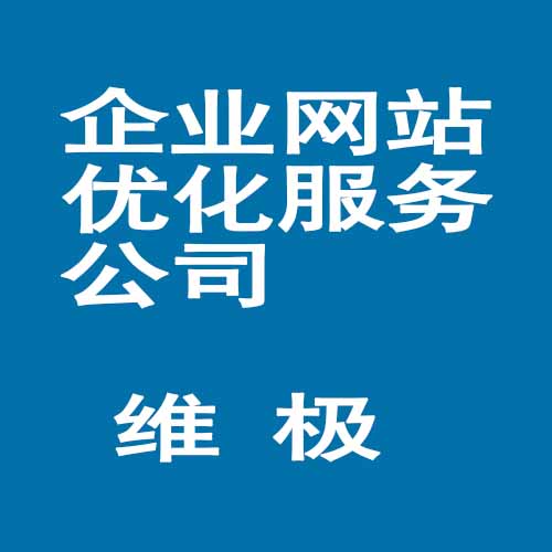 荔湾区企业网站优化服务公司/维极