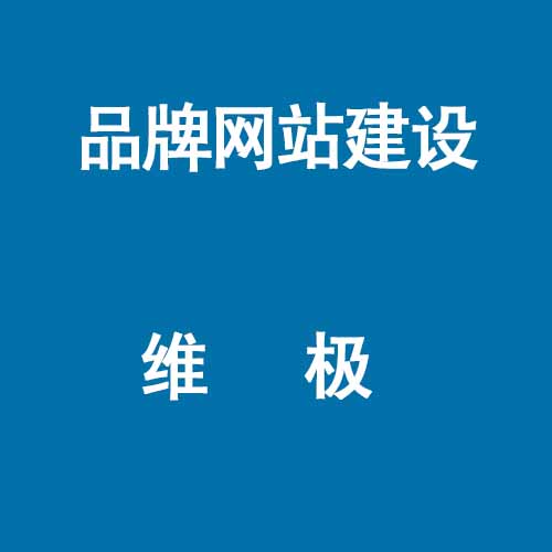 企業網絡推廣哪家效果好/維極