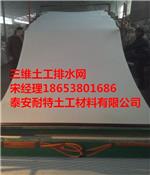 排水网哪家质量好/耐特土工/耐特土工